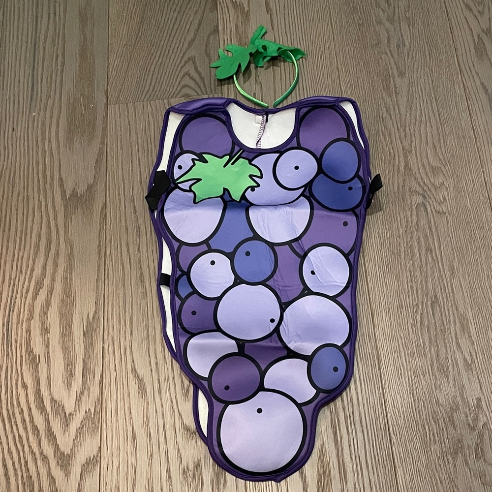 Purple Grape Costume with Green Leaf for kid